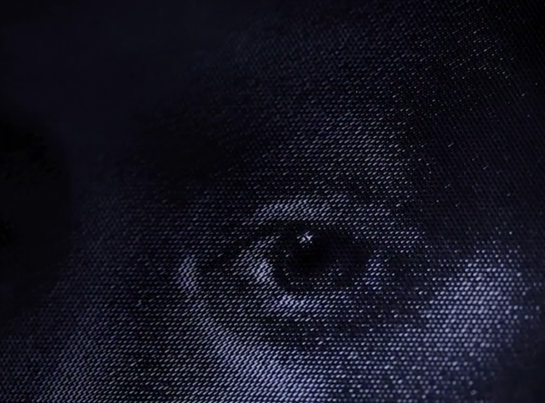 The Painting by Michèle Lemieux