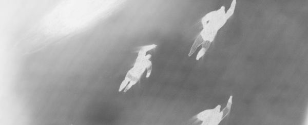 Moving Mountains by Jessica Poon