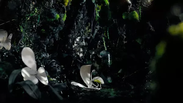 Humantis by Paris Baillie