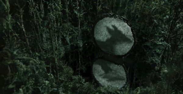 Compound Eyes of Tropical by Zhan Zhang-Xu