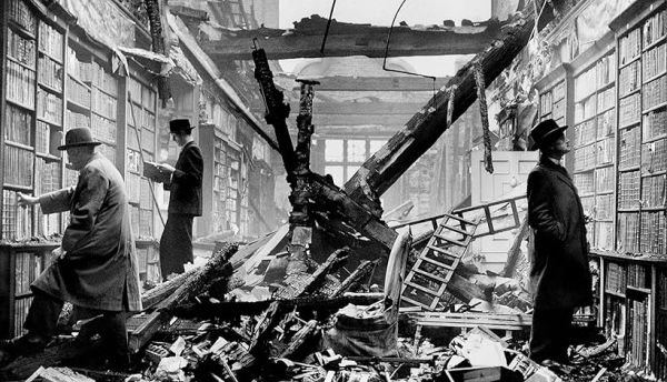 Blue Orchids by Johan Grimonprez