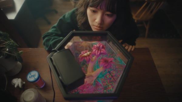 Bury Your Fish by Emma Josephson