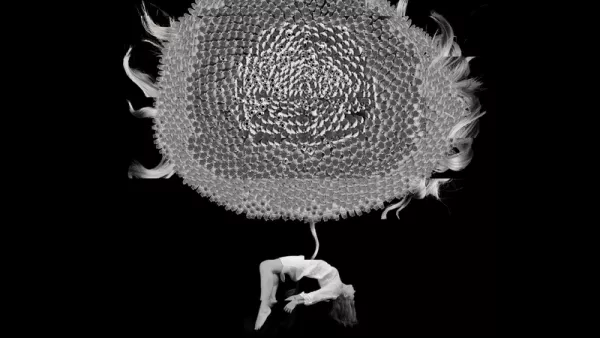 Corpus and the Wandering by Jo Roy