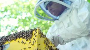 Keeper by Hannah Rafkin