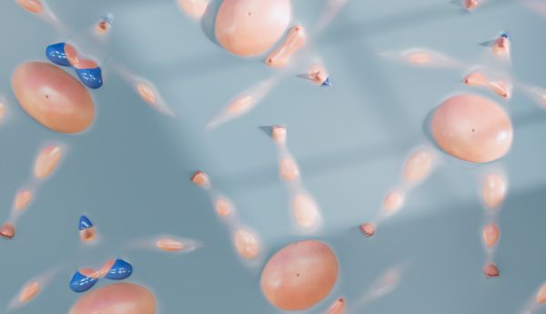 Wet by Marianne Bergeonneau and 4 co-directors