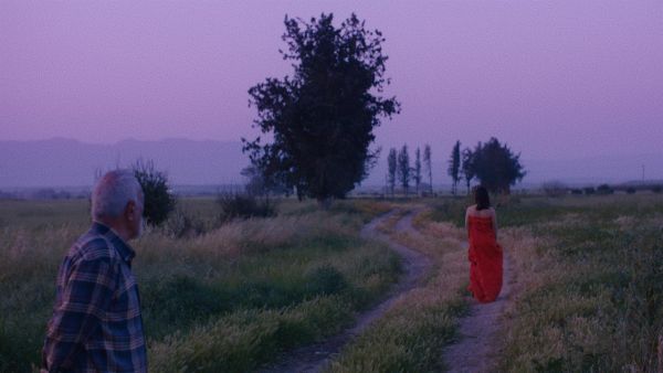 Pink Moon by Meray Diner